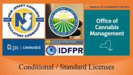 Learn the differences between conditional and standard cannabis business licenses