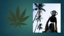 Feature Image - How to Win a Cannabis License